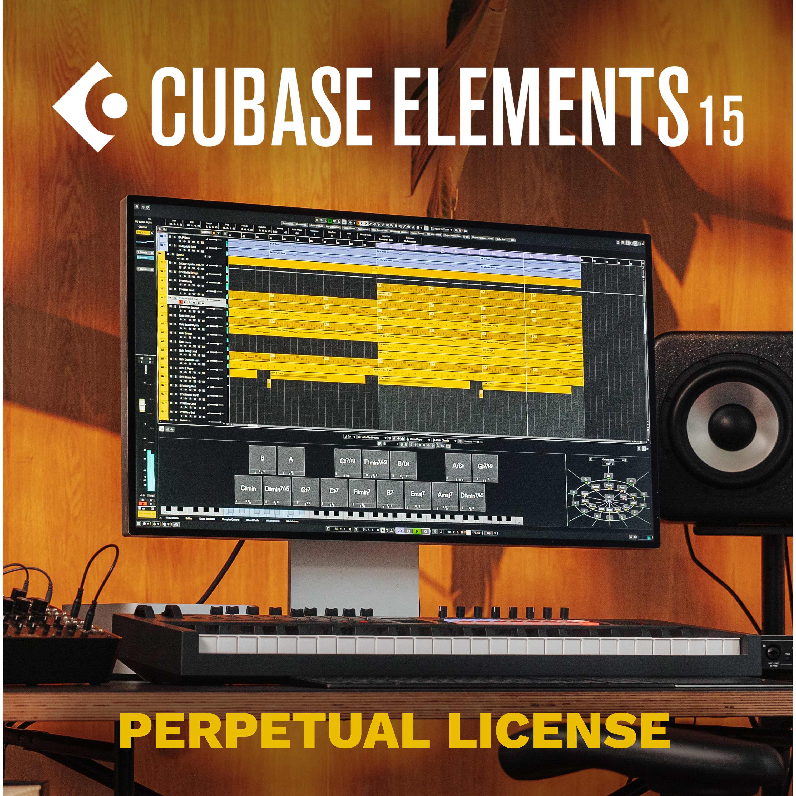 STEINBERG CUBASE ELEMENTS DAC